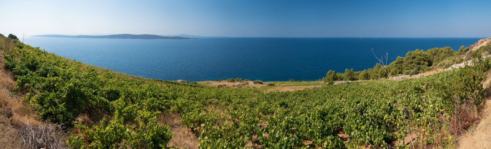 IVAN DOLAC1 PANORAMA